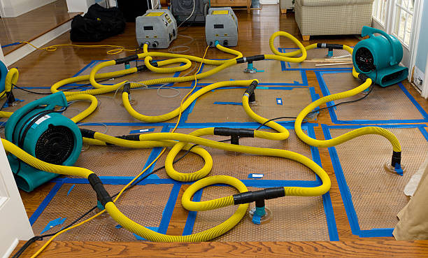 Professional Sewage Cleanup technician working in Hooven, OH